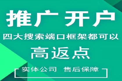 谷歌SEM案例研究：数据分析与效果评估